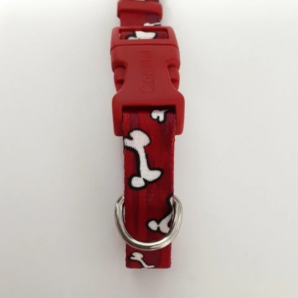 New Dog Collar and Leash Set